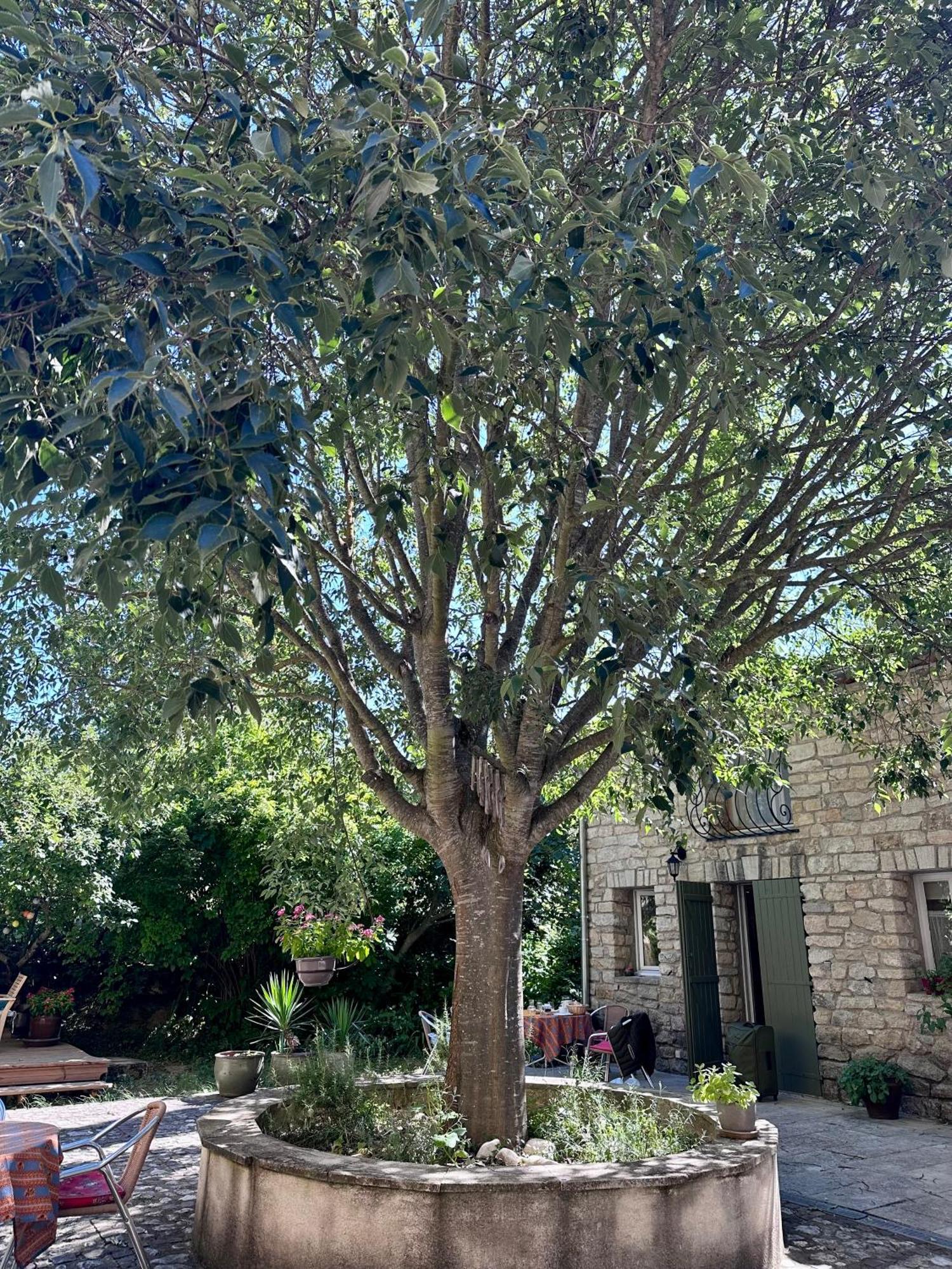 קריון-לה-בראב Moulin D'Antelon B&B מראה חיצוני תמונה